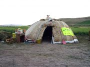 Bitki Örtüsü Yurt