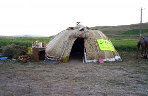 Bitki Örtüsü Yurt